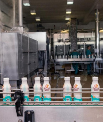 Алтайская Буренка