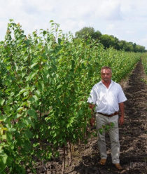 Бабяковский плодопитомник