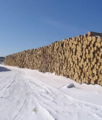 Архангельская Лесная Компания