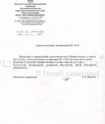 Профессионал