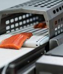 Балтийский берег