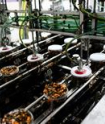 Балтийский берег