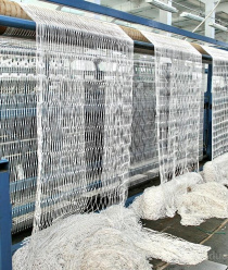 КасимовСетеснасть