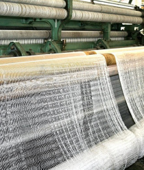 КасимовСетеснасть