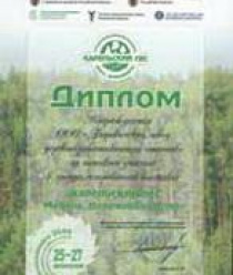 Боровичский завод деревообрабатывающих станков (БЗДС)