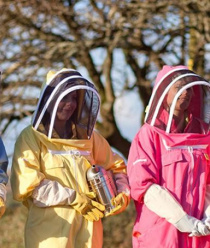 Золотая пчела