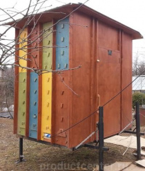 Золотая пчела