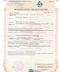 Ширяев и сыновья