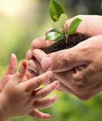 Агро-стимул