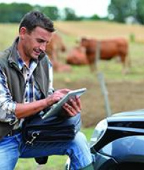 Агро-стимул