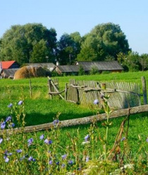 Живой Травяной