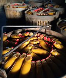 Ботлихский Фруктово-Консервный Завод