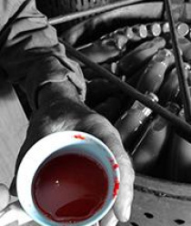 Ботлихский Фруктово-Консервный Завод