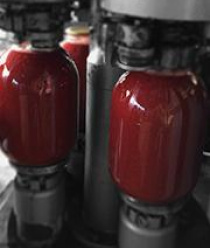 Ботлихский Фруктово-Консервный Завод