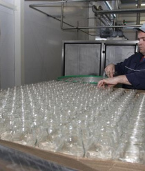 Ягода Карелии