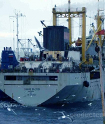 Южморрыбфлот