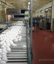 Птицекомплекс Лаишевский