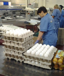 Птицекомплекс Лаишевский