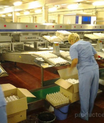 Птицекомплекс Лаишевский