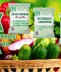 Современные Технологии Качества