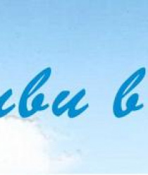 НВЛ-Электро