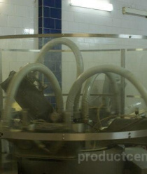 Сыр Стародубский