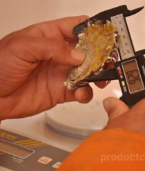 Крымские морепродукты