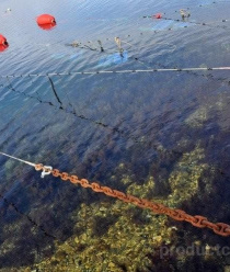 Крымские морепродукты