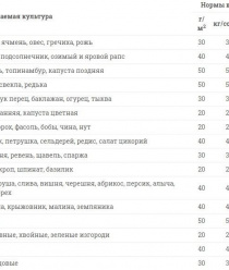 Ричман-Минерал