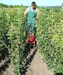 ЛПХ Макаревич