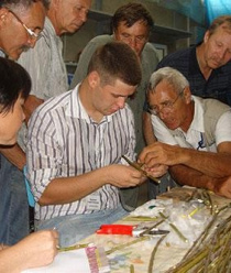 ЛПХ Макаревич