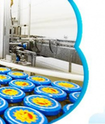 Бабушкино Лукошко