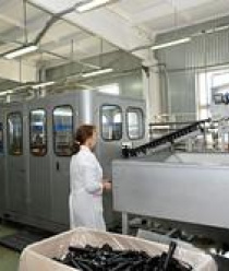 Северная Звезда