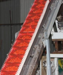 АгроМир-Сидс