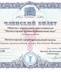 Магнитогорский Литейно-Штамповочный Завод