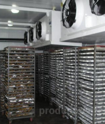 Питер Фрост