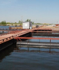 Бисеровский рыбокомбинат