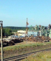 Чаадаевский завод древесных плит