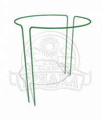 Наша Грядка