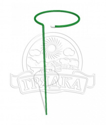 Наша Грядка