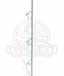 Наша Грядка