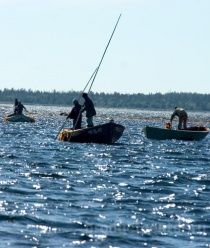 Архангельский опытный водорослевый комбинат