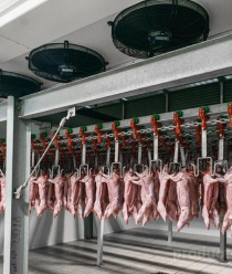 Ушастый дворик