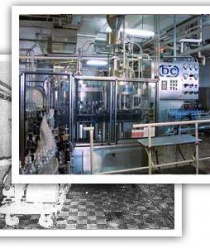 Останкинский завод напитков