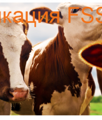 Малаховский мясокомбинат