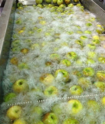 Комплекс-Агро