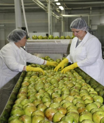 Комплекс-Агро