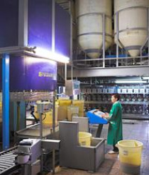 Павловопосадская платочная мануфактура