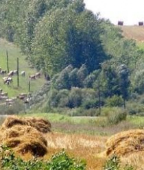 Европа Авто