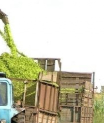 Европа Авто